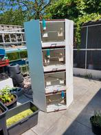 Bakker kunststof broedkooien aangeboden, Ophalen, Gebruikt, Kunststof, Broedkooi of Kweekkooi