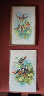 Twee leuke oude prenten vogels schilderij, Ophalen of Verzenden