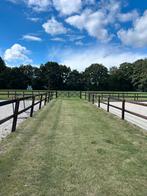 Stalling + weidegang aangeboden in Vaassen, Dieren en Toebehoren, Stalling en Weidegang, Weidegang, 1 paard of pony