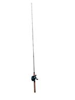 Verticaal Hengel met Baitcaster Reel, Ophalen, Gebruikt, Werphengel
