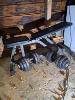 Halter bankje met dumbells, Ophalen, Gebruikt, Krachtstation
