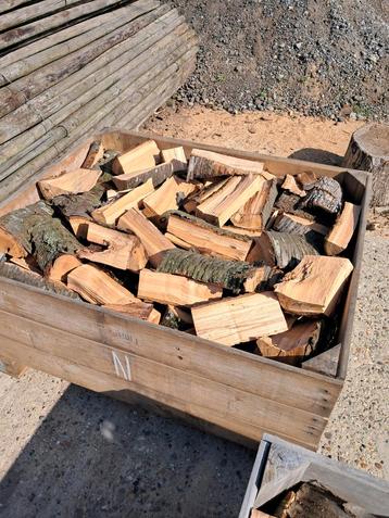 Kachelhout kers beschikbaar voor biedingen