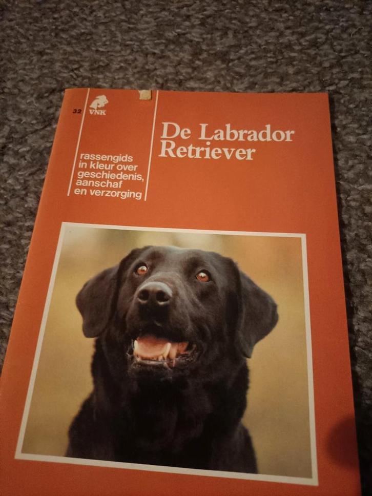 Labrador Retriever Boekje - VNIK Rassengids, Boeken, Dieren en Huisdieren, Gelezen, Honden, Ophalen of Verzenden