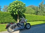 Harely Davidson Fatboy 2002, Motoren, Particulier, 2 cilinders, Chopper, Meer dan 35 kW