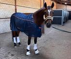 Bucas recuptex mesh cooler (6.0), Dieren en Toebehoren, Paarden en Pony's | Dekens en Dekjes, Ophalen of Verzenden, Gebruikt, Deken