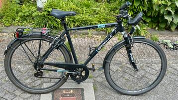 Gazelle Spinner beschikbaar voor biedingen