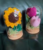 Eeuwigdurende bloemen in glazen koepels.perfect als cadeau, Ophalen of Verzenden, Nieuw