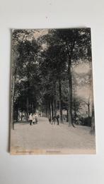 Zevenbergen.Stationslaan.Bomen,volk,woning.1907, Ophalen of Verzenden, Voor 1920