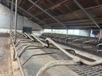45 Ligboxen voor grootvee – In goede staat, Dieren en Toebehoren, Stalling