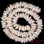6-10 mm schelp kralen wit 200 stuks 38 cm., Ophalen of Verzenden, Nieuw, Kraal