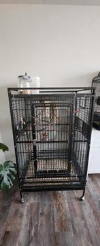 Vogel- papegaaienkooi GROOT, Dieren en Toebehoren, Ophalen, Zo goed als nieuw, Metaal, Vogelkooi