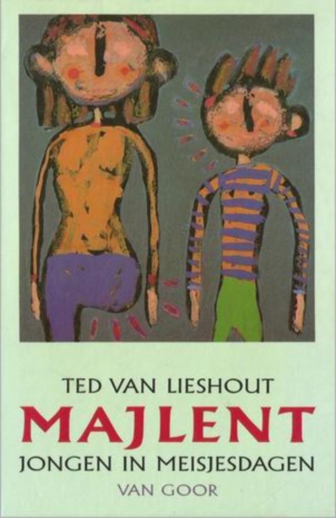 Majien jongen of meisje over genderidentiteit, Boeken, Kinderboeken | Jeugd | 10 tot 12 jaar, Zo goed als nieuw, Verzenden