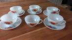 Antiek,Fleurs de Champêtre, Arcopal france - kop en schotels, Antiek en Kunst, Antiek | Servies compleet, Ophalen of Verzenden