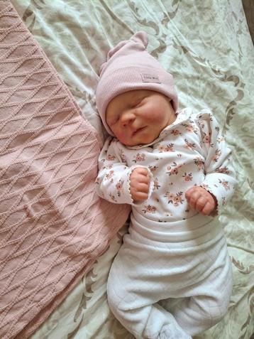 Realborn Michael Asleep - Vila Reborns beschikbaar voor biedingen