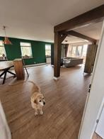 plak pvc, vinyl laminaat legger