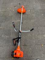 Bosmaaier kibani, Tuin en Terras, Ophalen of Verzenden