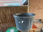 Plantenbak, Tuin en Terras, Ophalen, Zo goed als nieuw, Minder dan 60 cm
