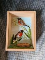 2 opgezette vogels in lijst... zie omschrijving!, Ophalen of Verzenden, Nieuw, Hout, Minder dan 50 cm