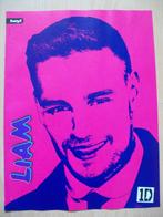 Poster van Liam Payne - One Direction - 1D uit Duits t. Hey!, Verzamelen, Posters, Ophalen of Verzenden, Nieuw, A4 of kleiner
