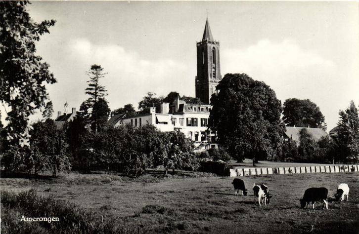Amerongen - gezicht op kerk en Oranjestein - koeien - 1962 g, Verzamelen, Ansichtkaarten | Nederland, Gelopen, Noord-Brabant, Voor 1920