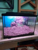 aquarium, Ophalen, Zo goed als nieuw, Leeg aquarium