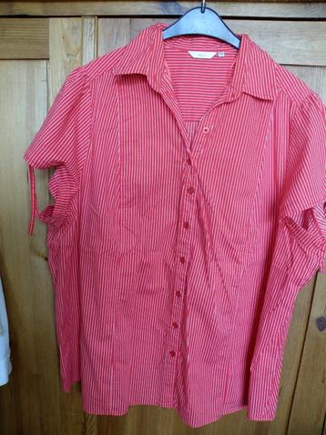 Miss Etam Blouse maat 56 beschikbaar voor biedingen