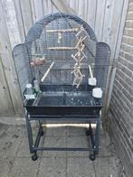 Kooi, Dieren en Toebehoren, Vogels | Hokken en Kooien, Ophalen, Zo goed als nieuw, Metaal, Vogelkooi