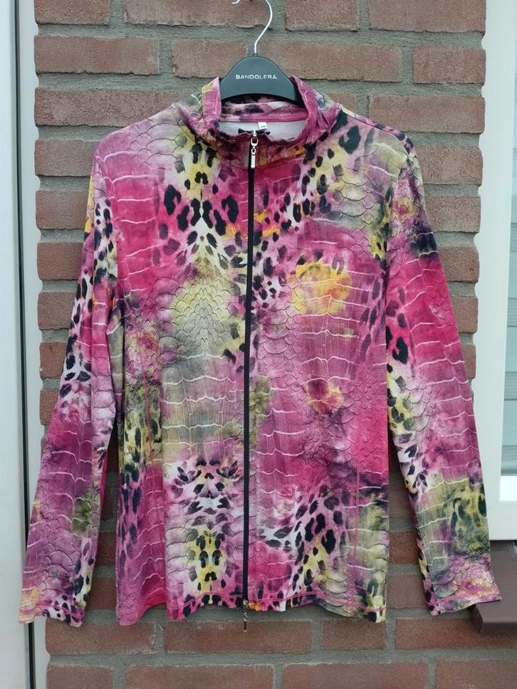 Prachtige kleuren vest van Cassani, 42 stretch, Kleding | Dames, Truien en Vesten, Zo goed als nieuw, Maat 42/44 (L), Overige kleuren