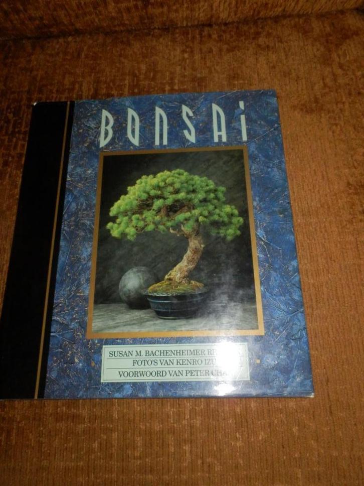 Bonsai Auteur: Resnick, Izu, Taal: Nederlands., Boeken, Wonen en Tuinieren, Zo goed als nieuw, Bloemschikken, Groendecoratie, Ophalen of Verzenden