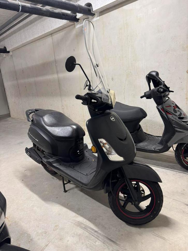 Fiddle 2 50s, Fietsen en Brommers, Scooters | SYM, Gebruikt, Fiddle, Maximaal 45 km/u, Benzine, Ophalen