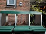 3 vaks kippen legnest, Dieren en Toebehoren, Pluimvee | Toebehoren, Ophalen of Verzenden, Zo goed als nieuw
