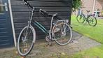 Gazelle Provence Damesfiets - Framemaat 52, Ophalen, Gebruikt, Versnellingen, 50 tot 53 cm