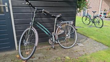 Gazelle Provence Damesfiets - Framemaat 52 beschikbaar voor biedingen