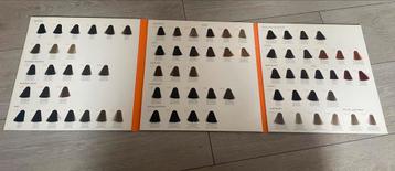 Kleuren boek XP100 haarverf beschikbaar voor biedingen