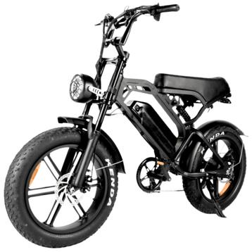 V20 PRO 2025 – Elektrische fatbike beschikbaar voor biedingen