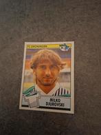 Panini sticker Voetbal 91. Milko Djurovski FC Groningen., Verzenden, Zo goed als nieuw, Sticker