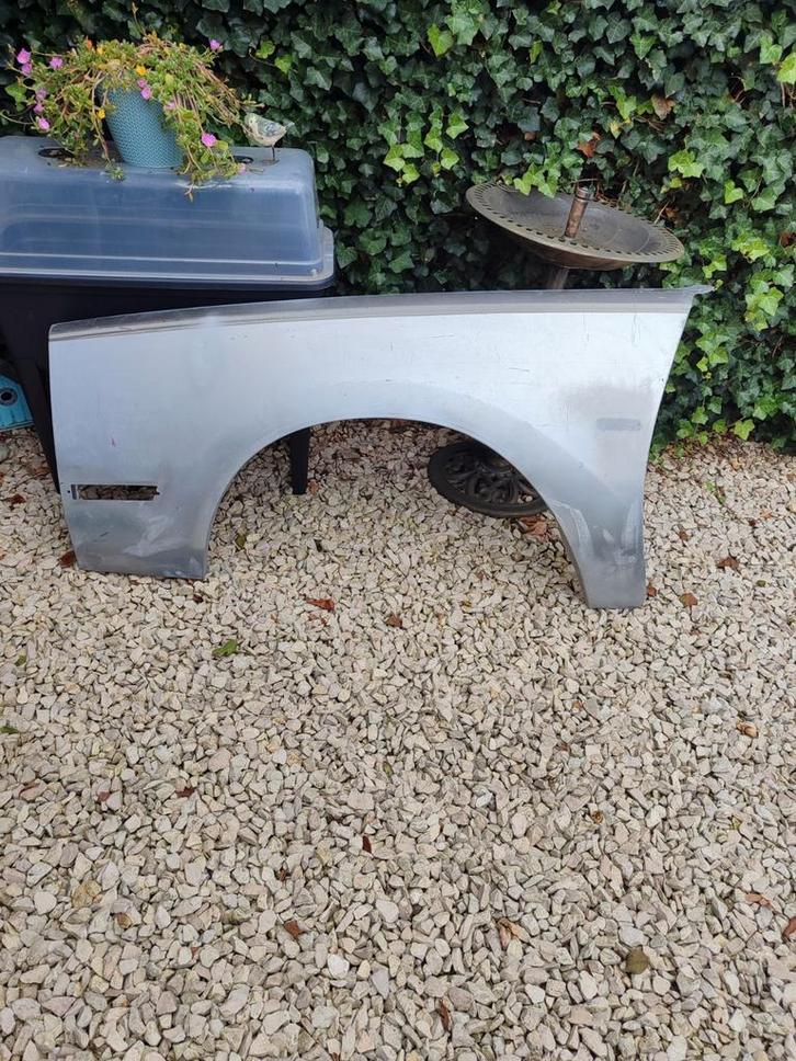 Buick Regal '78-'80 Spatbord LV Roestvrij G-body, Auto-onderdelen, Carrosserie en Plaatwerk, Ophalen