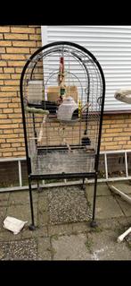 Vogelkooi op wielen, Dieren en Toebehoren, Vogels | Hokken en Kooien, Ophalen, Gebruikt, Metaal, Vogelkooi