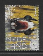 2020, Boerenlandvogels, Slobeend [3825] (K2210), Ophalen of Verzenden