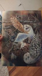 Placemat uilen Print, Minder dan 50 cm, Ophalen of Verzenden, Minder dan 50 cm, Print