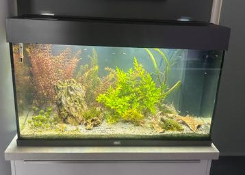 Juwel Rio 125 LED Aquarium kleur grijs beschikbaar voor biedingen