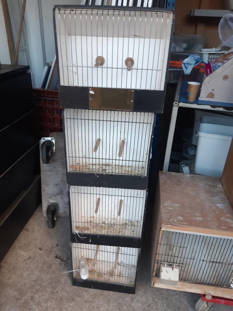 6 gebruikte kleine tt kooien 15 euro, Ophalen, Gebruikt, Overige materialen, Vogelkooi
