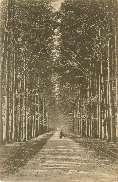 (387-241-007) De Steeg Kasteel Middachten, Verzamelen, Ansichtkaarten | Nederland, Gelderland, Verzenden