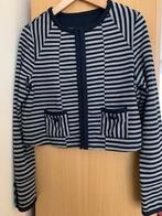 Dames colbert jasje BC Best Connections 38 donkerblauw grijs, Maat 38/40 (M), Blauw, Ophalen of Verzenden, Zo goed als nieuw