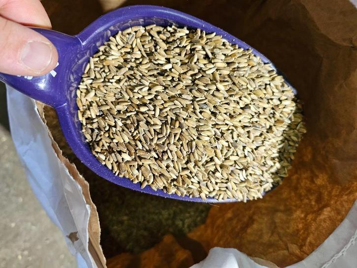 Mariadistelzaad 1kg - Enkelvoudige zaden - Winkel en Webshop, Dieren en Toebehoren, Vogels | Toebehoren, Nieuw, Eten en Drinken