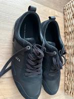 Tommy Hilfiger, Blauw, Tommy Hilfiger, Nieuw, Ophalen of Verzenden