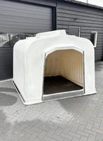 Groot Schuilhok wit, Mannelijk, Schaap