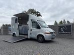 Renault Master Paardenwagen TVW 3XL | 2008 | Geen btw | B-ri, Dieren en Toebehoren, Weduwestraat 12
4884MV  WERNHOUT, NL, Paardenwagentje NL | MVV HORSETRUCKS