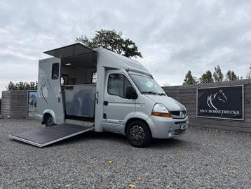 Renault Master Paardenwagen TVW 3XL | 2008 | MARGE | B-rijbe beschikbaar voor biedingen