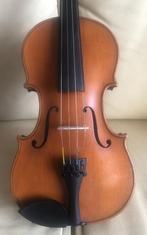Studie Violen  1/2, 3/4 en hele viool, Muziek en Instrumenten, Strijkinstrumenten | Violen en Altviolen, Ophalen, Gebruikt, Viool
